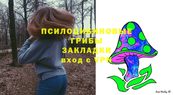 дживик Богданович